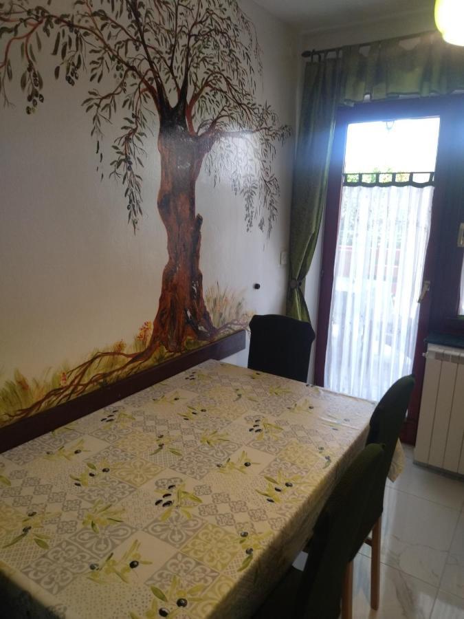 Zelena Oaza Apartment Novigrad  Exterior photo