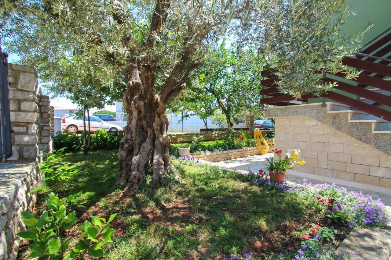 Zelena Oaza Apartment Novigrad  Exterior photo